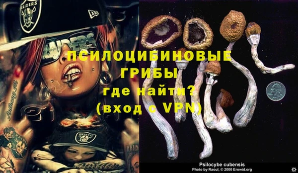 таблы Осинники