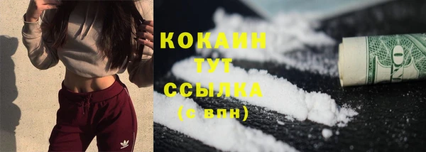 таблы Осинники