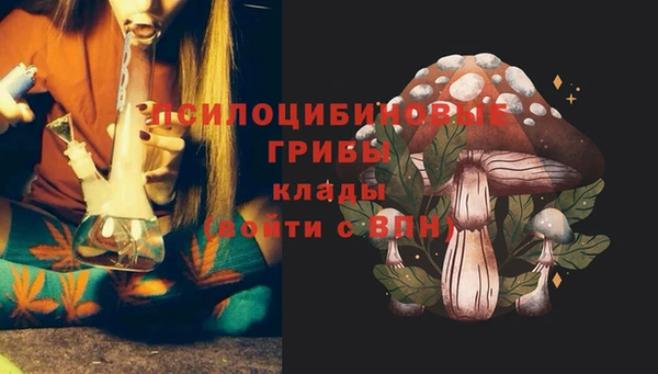 таблы Осинники