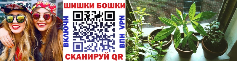 Бошки марихуана Amnesia  сколько стоит  Лакинск 